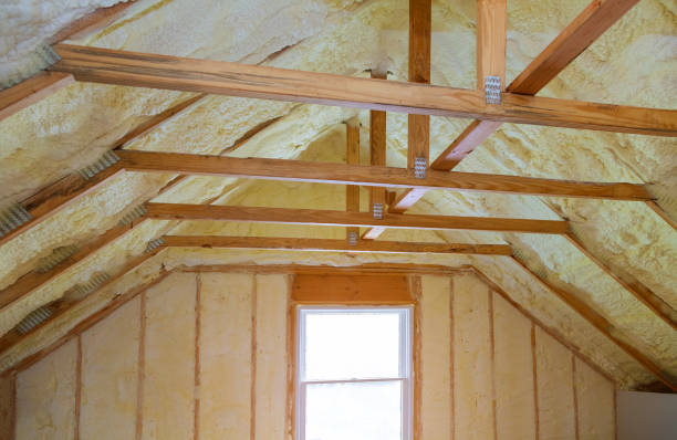 Best Home Insulation Services  in Pine Hill, NJ